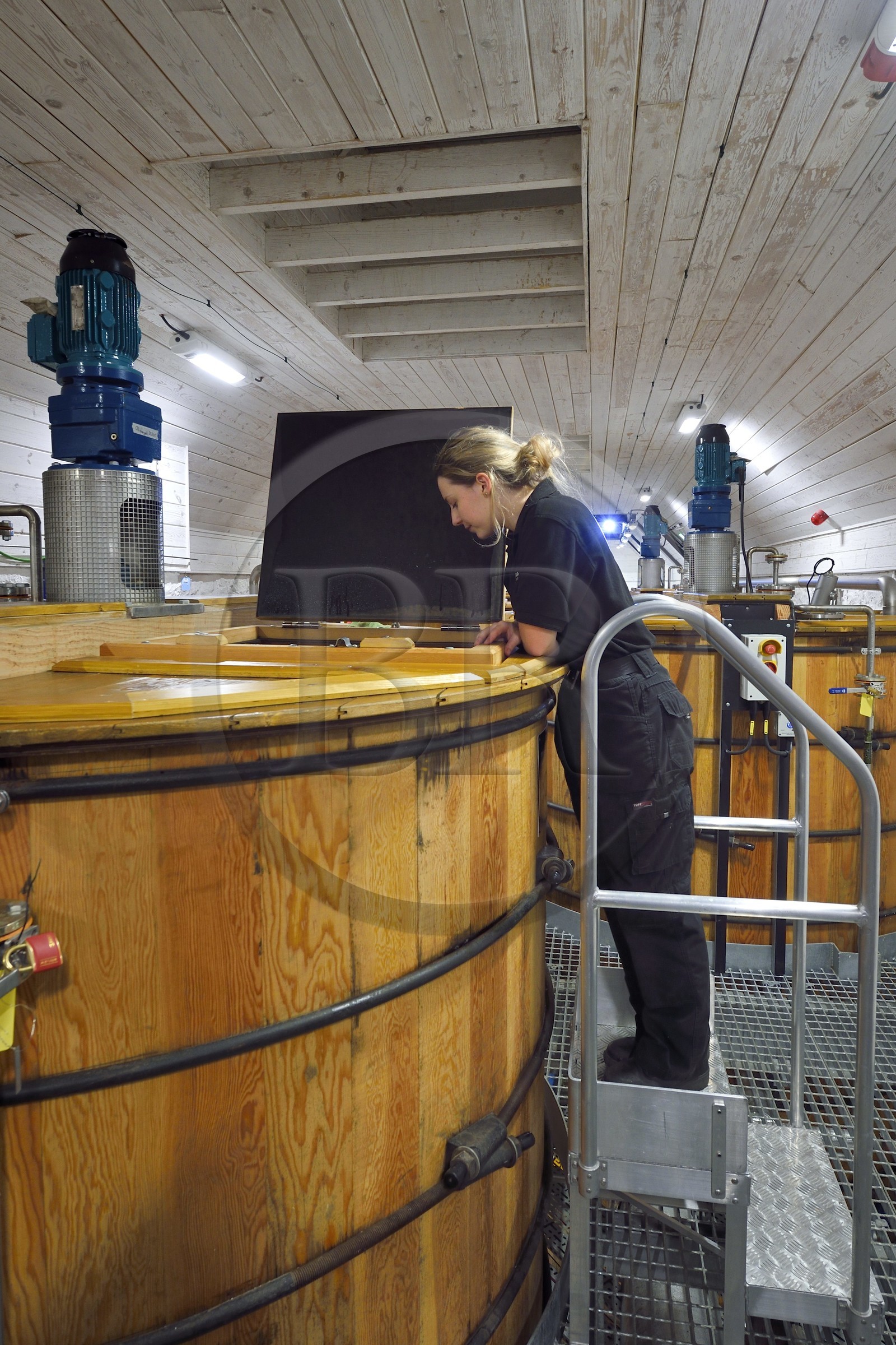 United Kingdom, Scotland, Highlands, Hebrides, Isle of Skye, Teangue, Torabhaig whisky Distillery, Iona checking the good progress in the washback