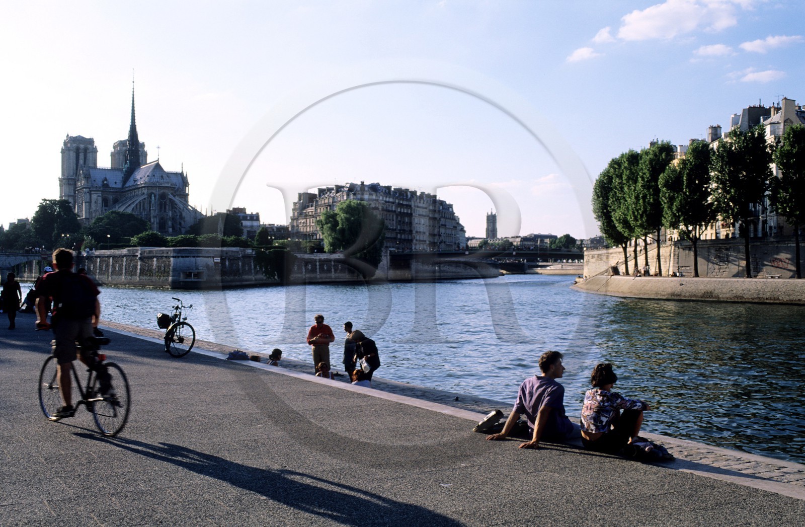 France, Paris, Notre Dame cathedral on the Ile de la Cite and the Saint Bernard bank