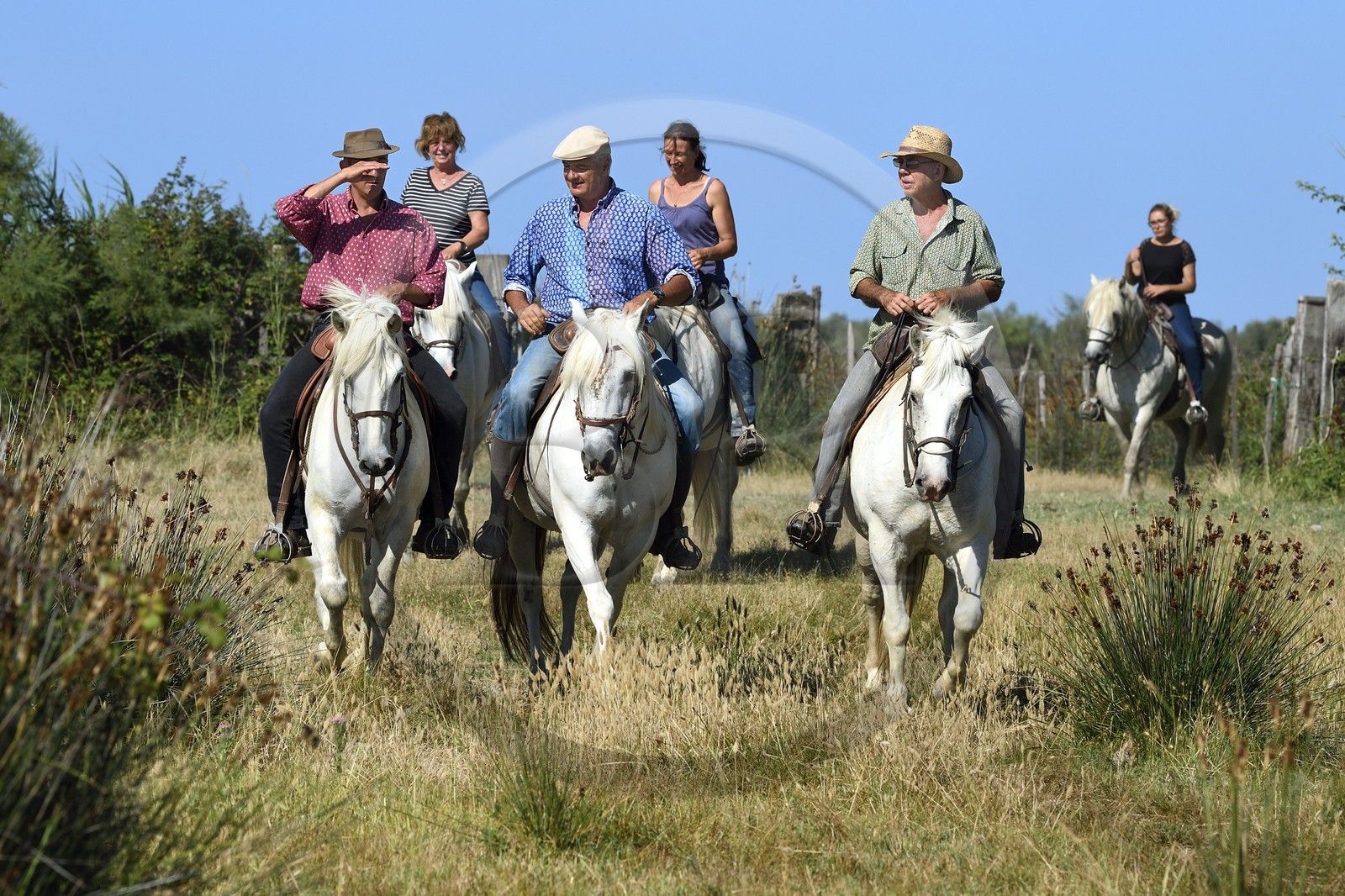 France, Bouches du Rhone, Parc naturel regional de Camargue (Regional Natural Park of Camargue), manade Jacques Mailhan, riding gardians