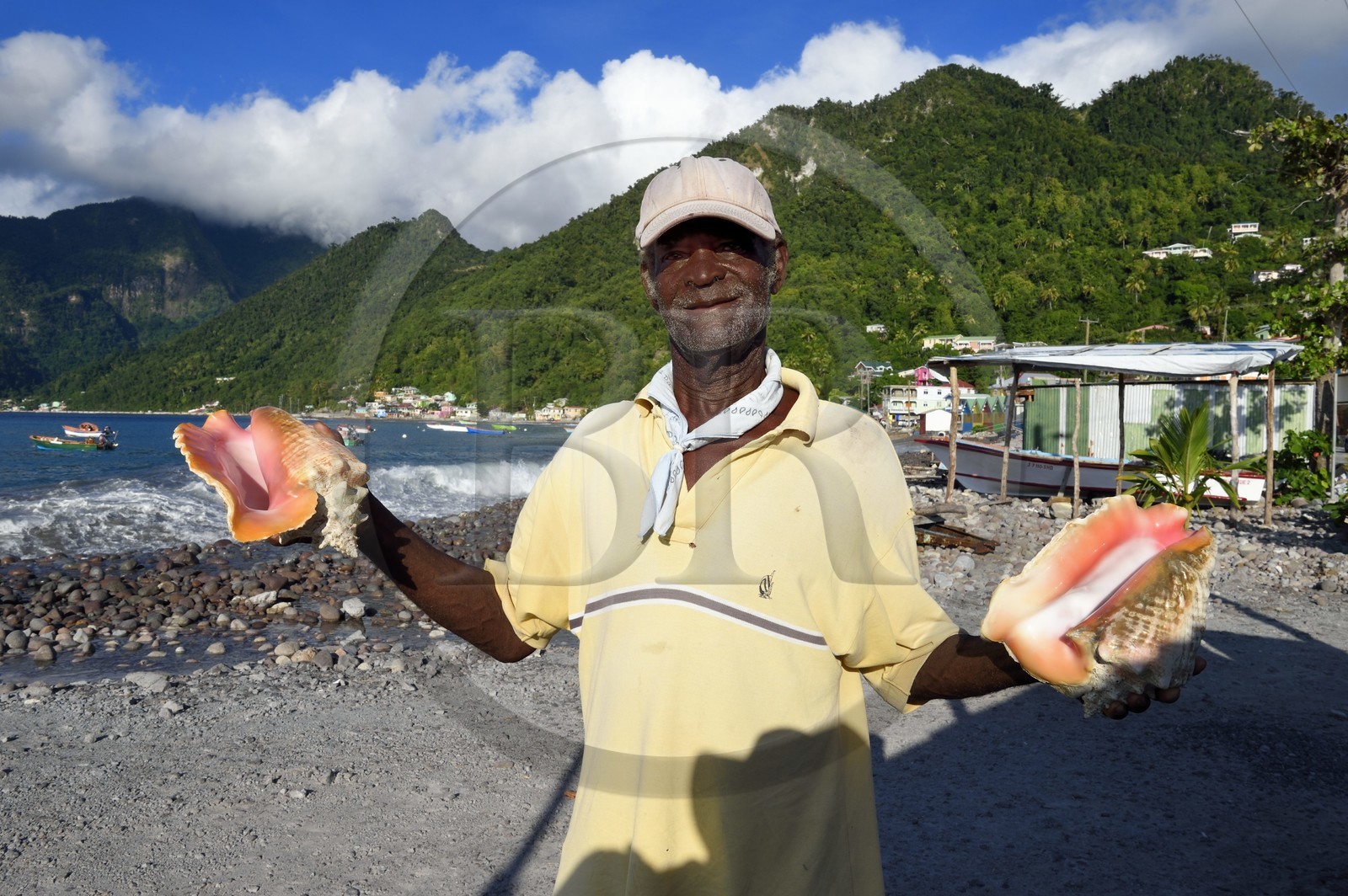 Caraïbes, Ile de la Dominique, la baie de Soufrière, village de Scotts Head, pêcheur proposant des coquillages à la vente, lambi ou strombe géant (Lobatus gigas)