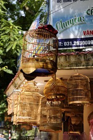 Vietnam, Haiphong, birds in cage on sale