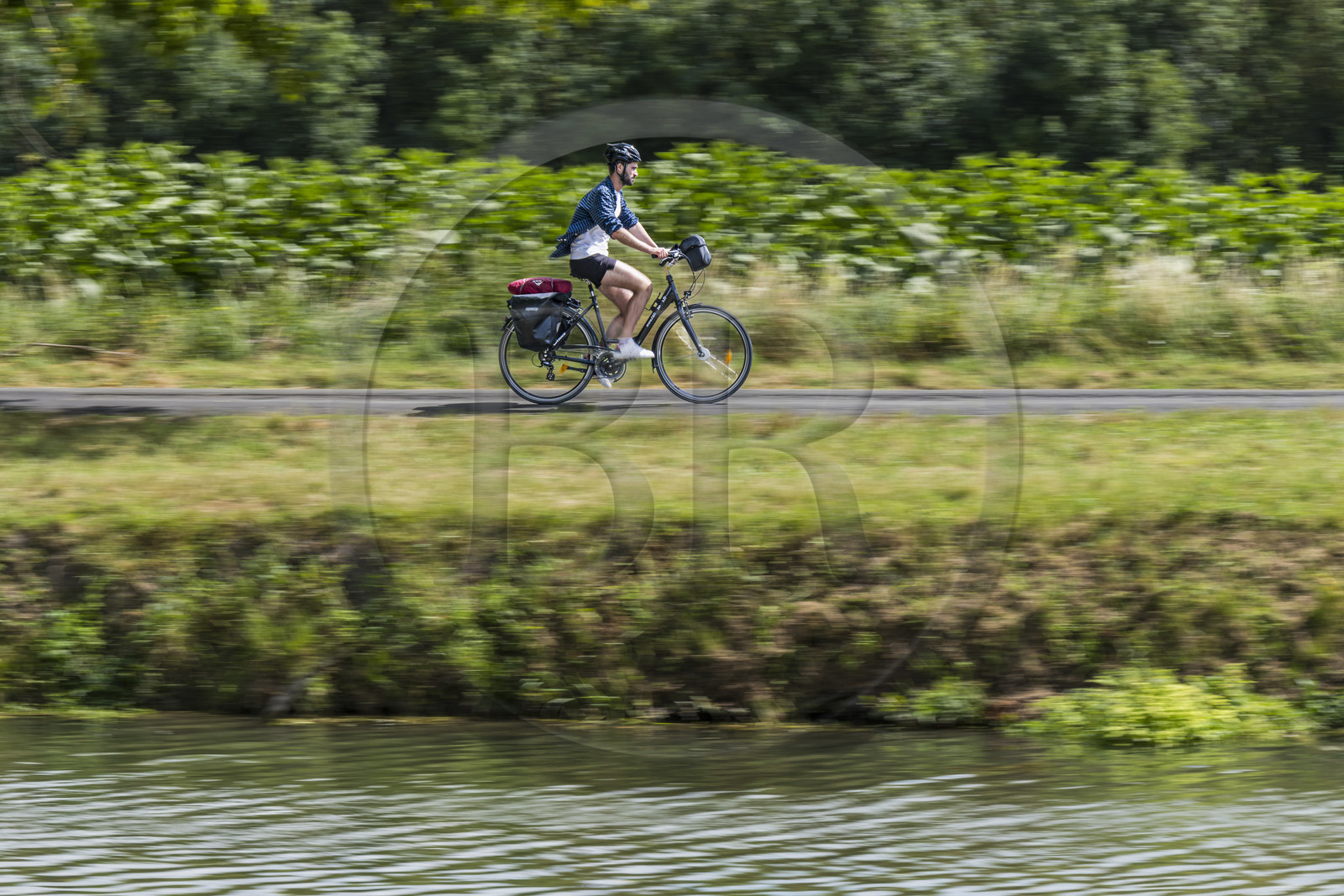 France, Deux-Sèvres (79), le Marais Poitevin, la Venise Verte, Le Mazeau, randonnée à bicyclette le long de la Sèvre Niortaise sur la voie cyclable de la Vélo Francette