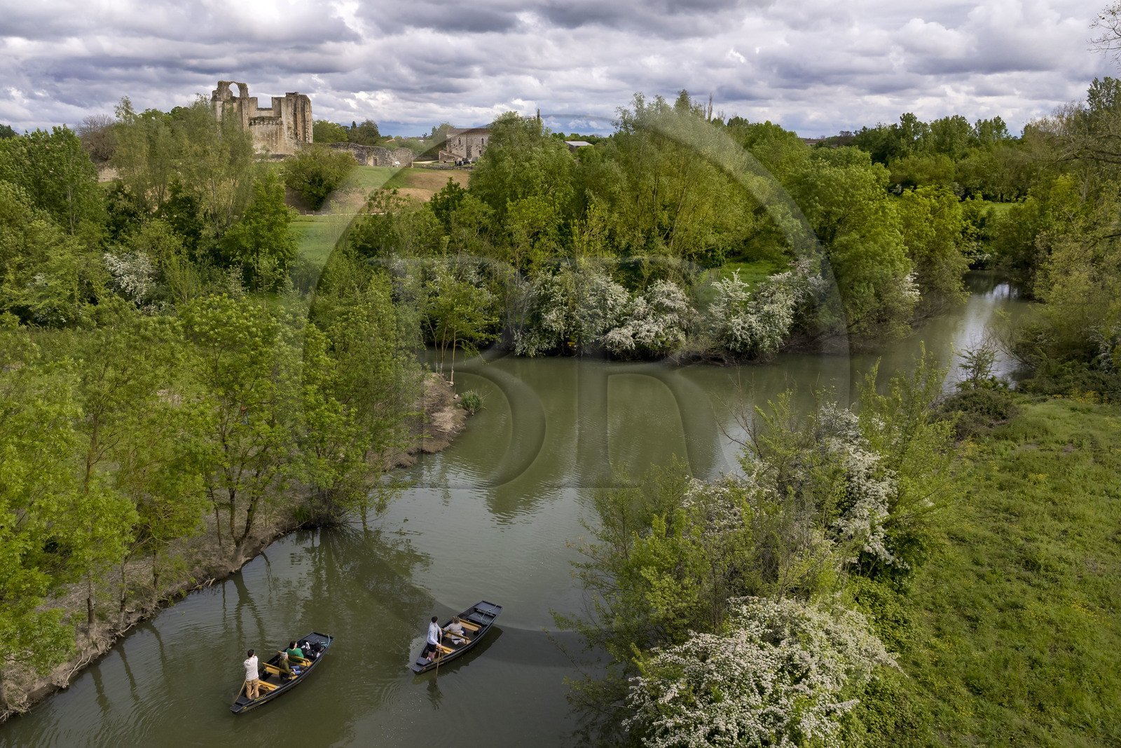 France, Vendée (85), Parc Interrégional du Marais Poitevin labellisé Grand Site de France, Maillezais, batelier effectuant une promenade en barque sur les affluents de l'Autise, les vestiges de l'abbaye Saint-Pierre de Maillezais en arrière plan (vue aérienne)