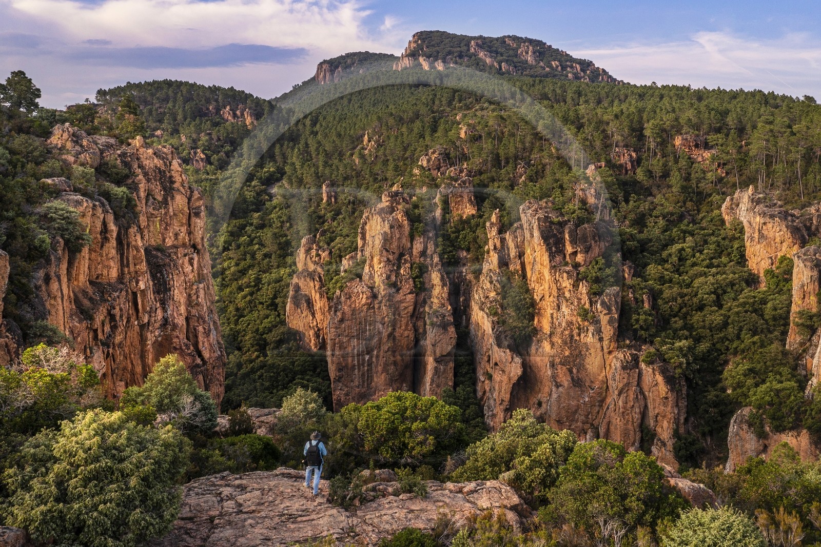 France, Var, between Bagnols en Foret and Roquebrune sur Argens, hiker at the entrance of the Gorges du Blavet (aerial view)