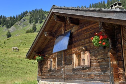 Switzerland, Canton of Vaud, Villars-sur-Ollon, hike from the Bretaye pass to the Croix pass passing through the hamlet of Ensex, chalet with photovoltaic solar panel in the hamlet of Ensex