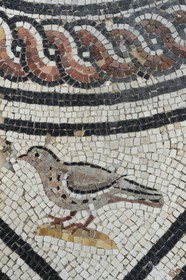 France, Rhone, Lyon, Saint Romain en Gal, Gallo-Roman Museum of Saint-Romain-en-Gal mosaics restoration workshop, restoration of a 2nd century mosaic of the house five mosaics, detail