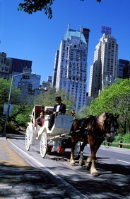 Etats-Unis, New York, Manhattan, découverte de Central Park en calèche