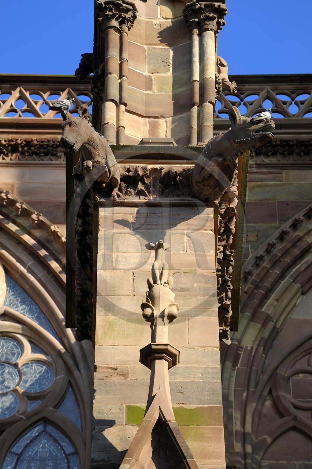 France, Bas Rhin, Strasbourg, old town listed as World Heritage by UNESCO, Notre Dame Cathedral, gargoyle on the north facade