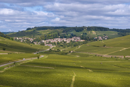 France, Côte-d'Or (21), les climats de Bourgogne classés Patrimoine Mondial de l'UNESCO, Route des Grands Crus, vignoble de la Côte de Beaune, Pernand-Vergelesses, le village et l'oratoire Notre-Dame de Bonne Espérance en arrière plan (vue aérienne)