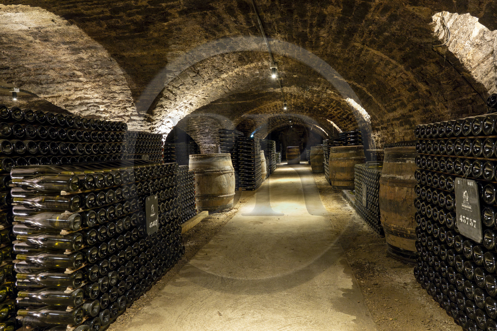 France, Côte-d'Or (21), les climats de Bourgogne classés Patrimoine Mondial de l'UNESCO, Beaune, les caves de la Maison Patriarche, société viticole de négociant-éleveur