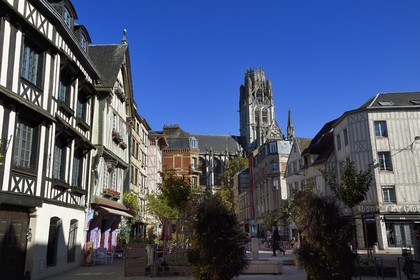 France, Seine Maritime, Rouen, half-timbered houses place du Lieutenant Aubert and the Saint-Ouen abbey in the background