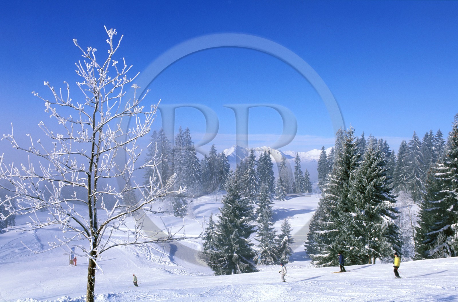 France, Haute-Savoie (74), les portes du Soleil en hiver, le domaine skiable de Morzine et les Gets