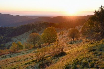 France, Haut-Rhin (68), Wasserbourg, massif des Vosges en bordure de la plaine d'Alsace à la Ferme-auberge Buchwald sur le Petit Ballon