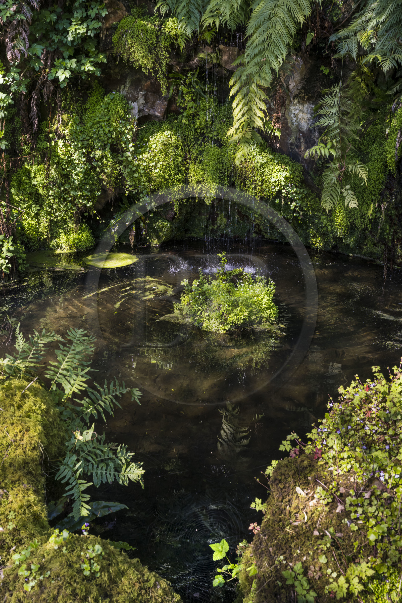France, Côtes-d'Armor (22), Plouguiel, le Jardin botanique du Kestellic, classé jardin remarquable
