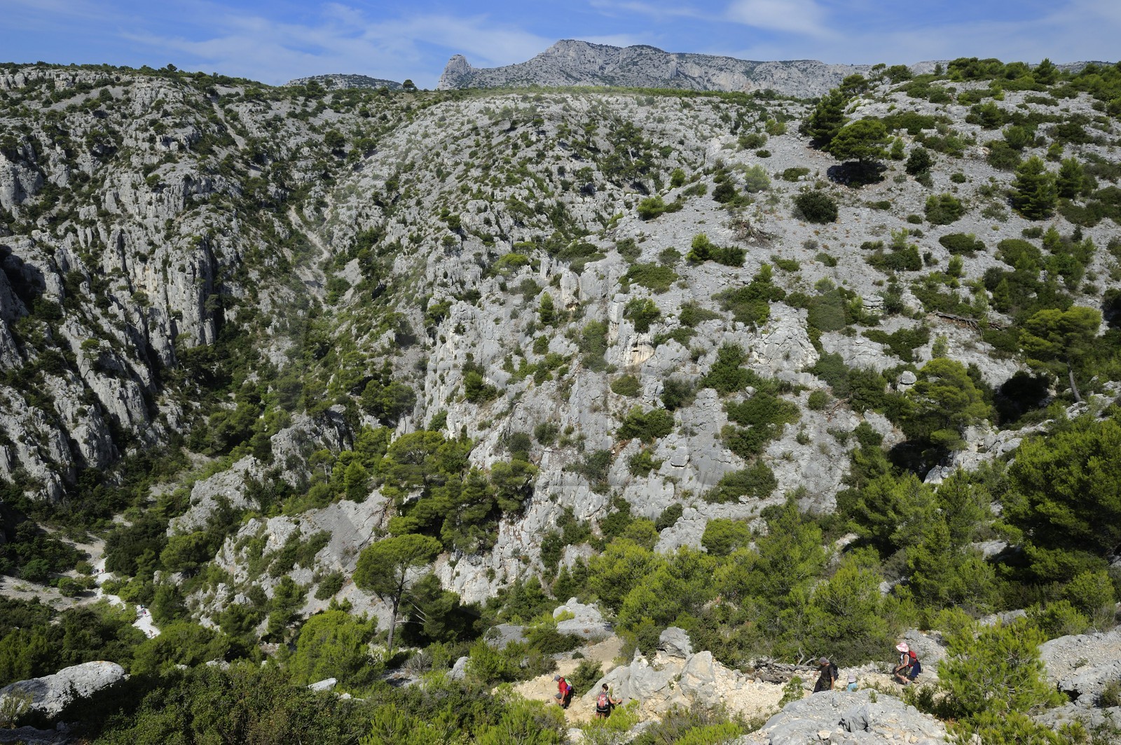 France, Bouches-du-Rhône (13), Cassis, le sentier menant à la calanque d'en Vau