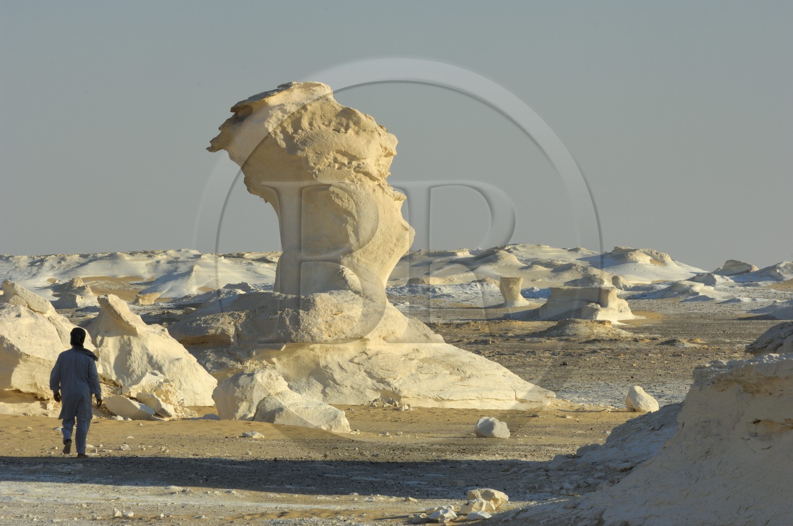 Egypte, désert libyque, le Désert Blanc au nord de Farafra