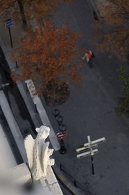 France, Paris (75), île de la Cité, la cathédrale Notre-Dame, les chimères observent la ville