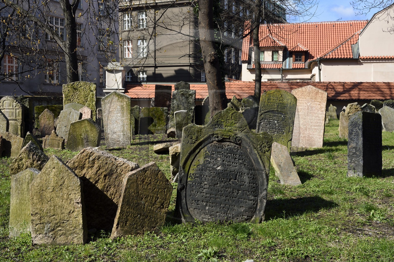République Tchèque, Prague, centre historique classé Patrimoine Mondial de l'UNESCO, quartier juif de Josefov, cimetière juif et la synagogue Pinkas en arrière plan