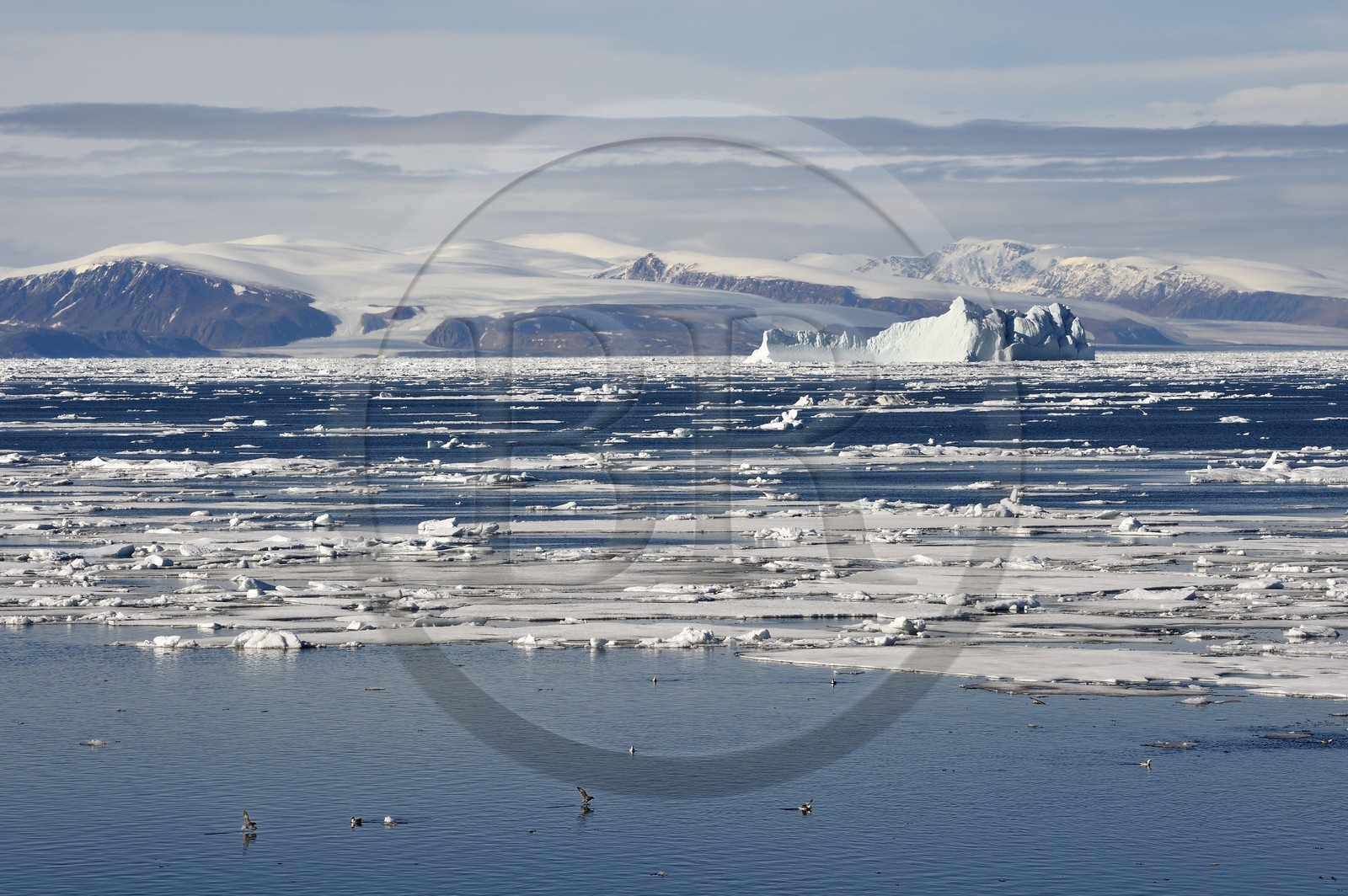 Groenland, cote Nord-Ouest, Smith sound au nord de la baie de Baffin, morceaux de glace de la banquise arctique et iceberg géant en arrière plan vers la côte canadienne de l'ile d'Ellesmere