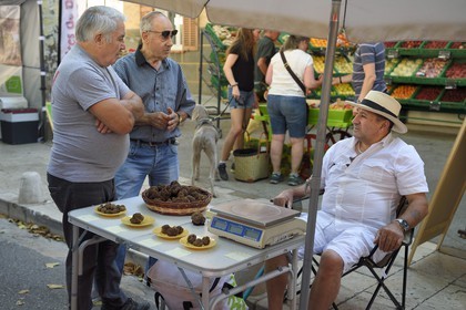 France, Var, Provence Verte, Cotignac, the market on the main square, summer truffle (Tuber aestivum) seller