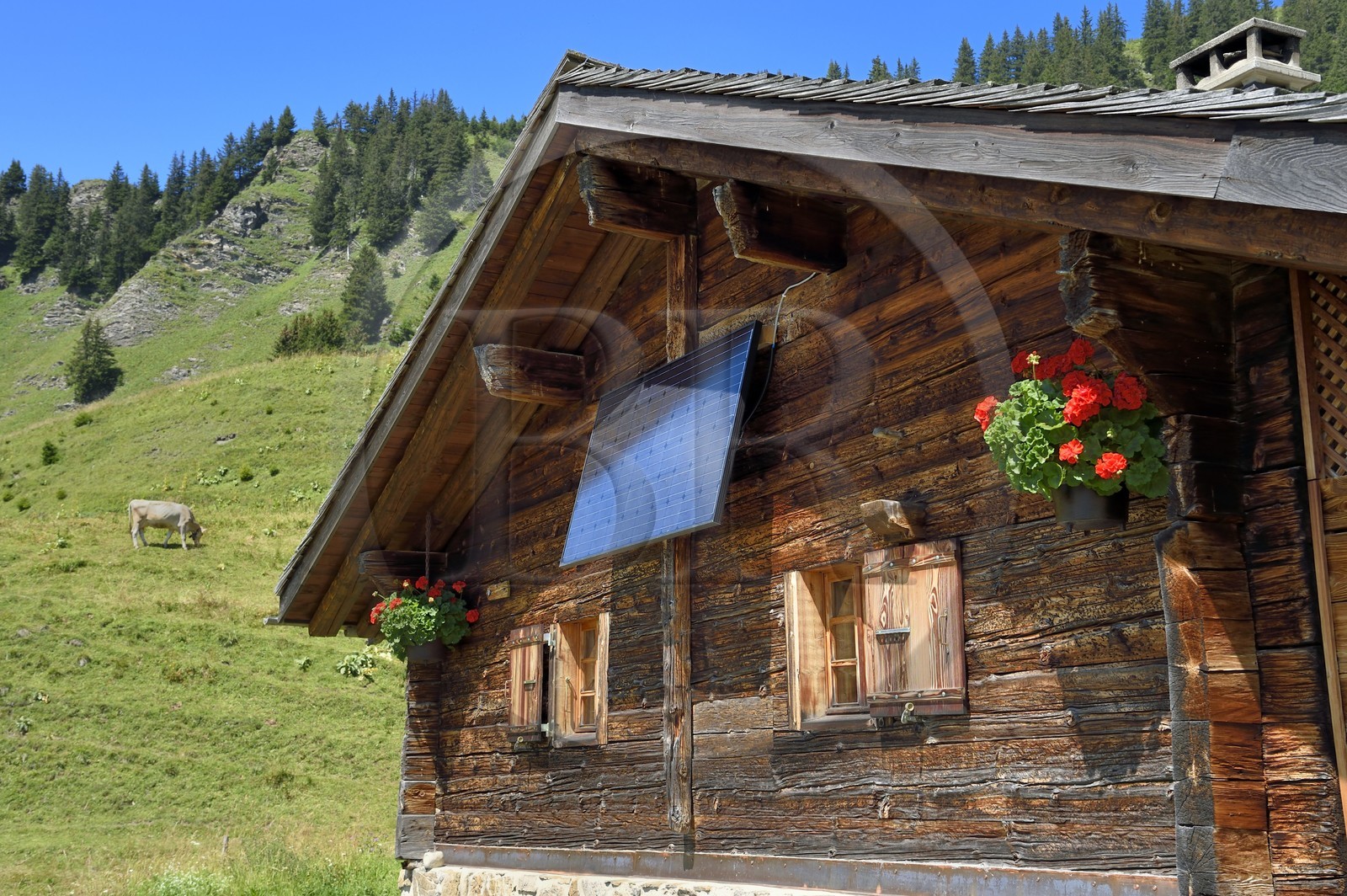 Suisse, canton de Vaud, Villars-sur-Ollon, randonnée du col de Bretaye au col de la Croix en passant par le hameau d'Ensex, chalet équipé d'un panneau solaire photovoltaïque dans le hameau d'Ensex