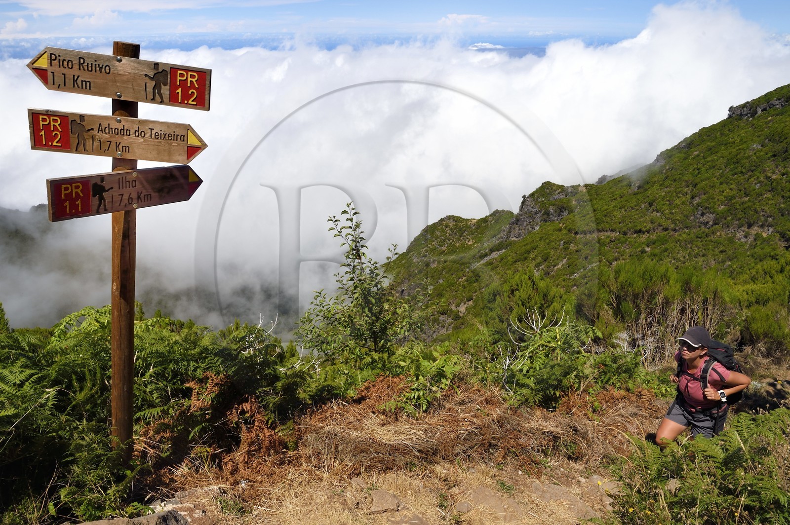 Portugal, Ile de Madère, randonnée sur le Vereda do Areeiro entre les monts Pico Ruivo (1862m) et Pico Arieiro (1817m), le sentier qui monte depuis Achada do Teixeira