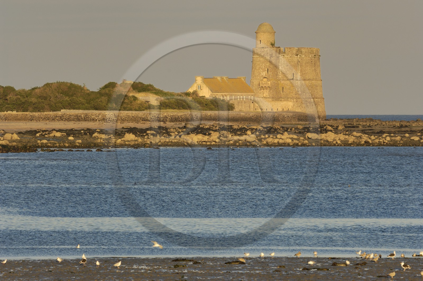 France, Manche (50), Val de Saire, région de Saint-Vaast-la-Hougue, son fort Vauban classé Patrimoine Mondial de l'UNESCO de l'Ilet Vauban sur l'Ile de Tatihou