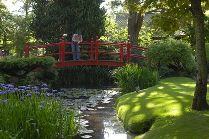 Republic of Ireland, County Kildare, Tully, Irish National Stud, Japanese Gardens