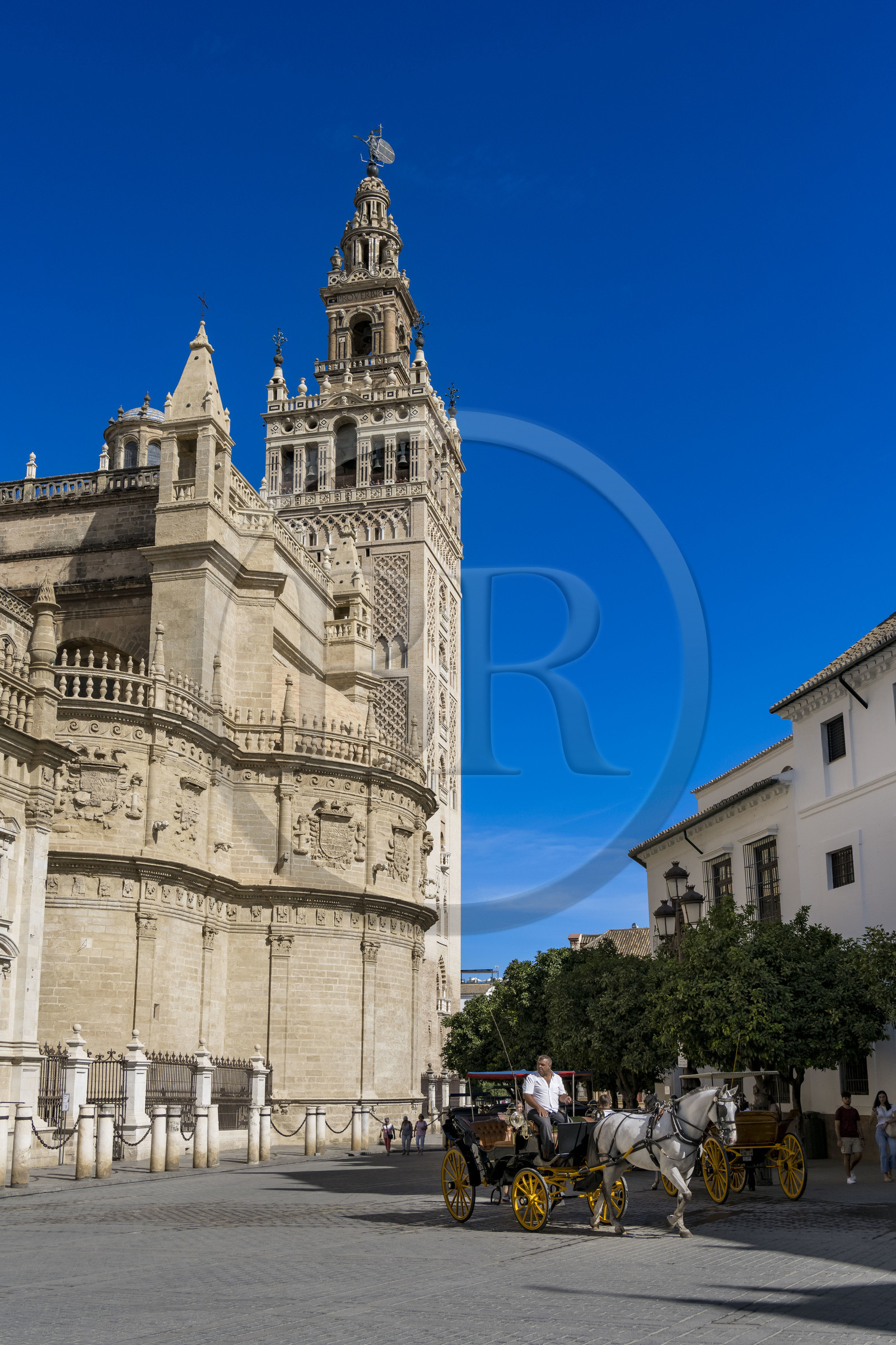 Spain, Andalusia, Seville, Santa Cruz district, the Giralda, former minaret almohade of the great Mosque reconverted into the bell tower of the cathedral, listed as World Heritage by UNESCO