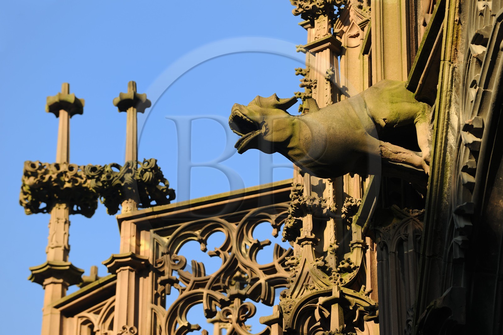 France, Bas-Rhin (67), Strasbourg, la cathédrale Notre-Dame, gargouille de la façade Nord