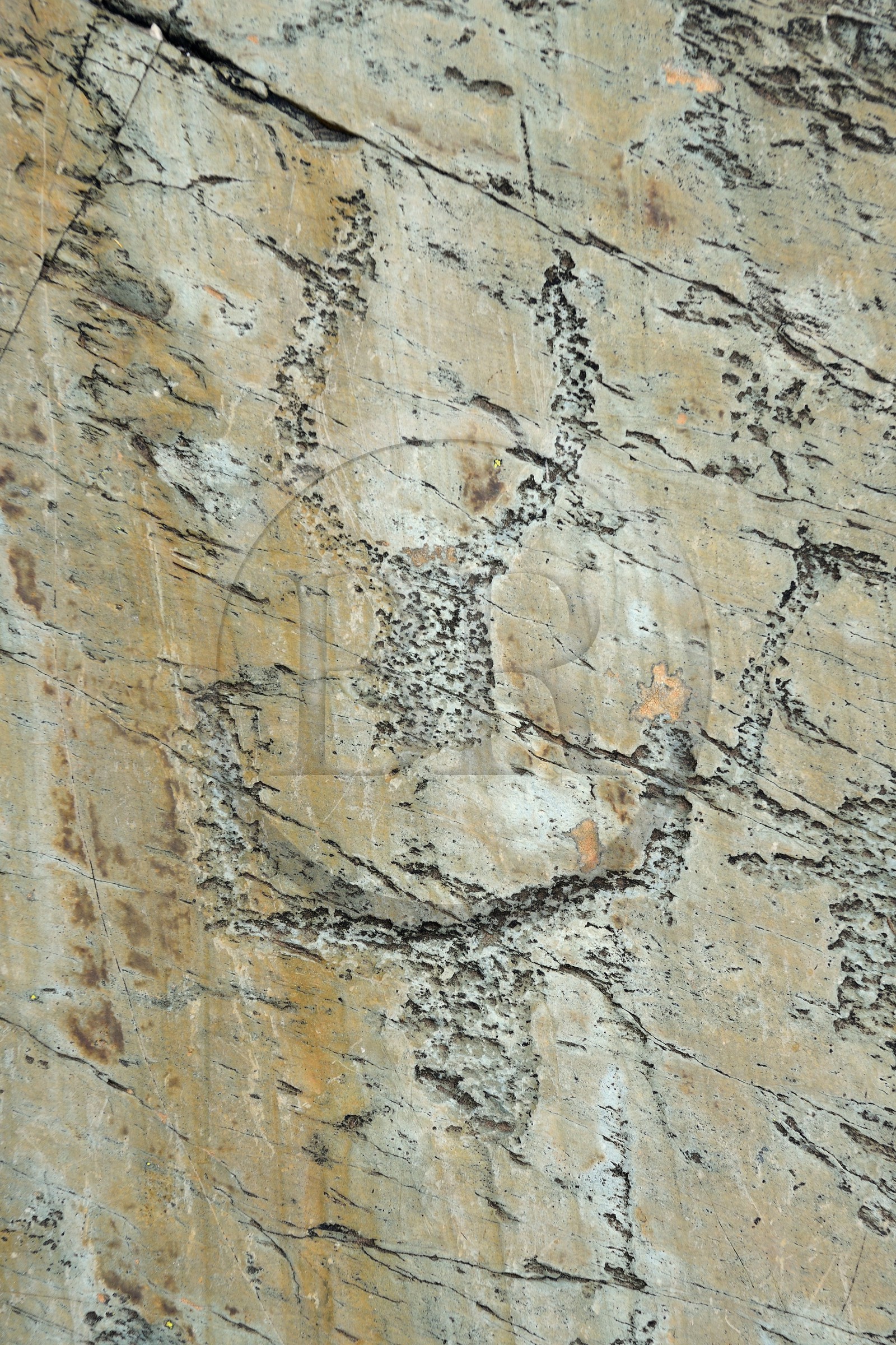 France, Alpes-Maritimes (06), parc national du Mercantour, Vallée des Merveilles parsemée de milliers de gravures rupestres de l'Age de bronze, dalle de schiste appelée la Roche de l’Autel, gravures de figures corniformes