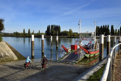 France, Seine-Maritime (76), Parc naturel régional des Boucles de la Seine normande, traversée du bac auto au village de La Bouille, cycliste sur la veloroute du Val de Seine