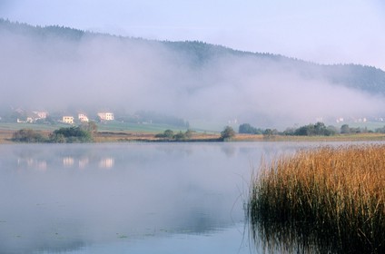 France, Doubs (25), lac de Saint-Point dans le brume du petit matin