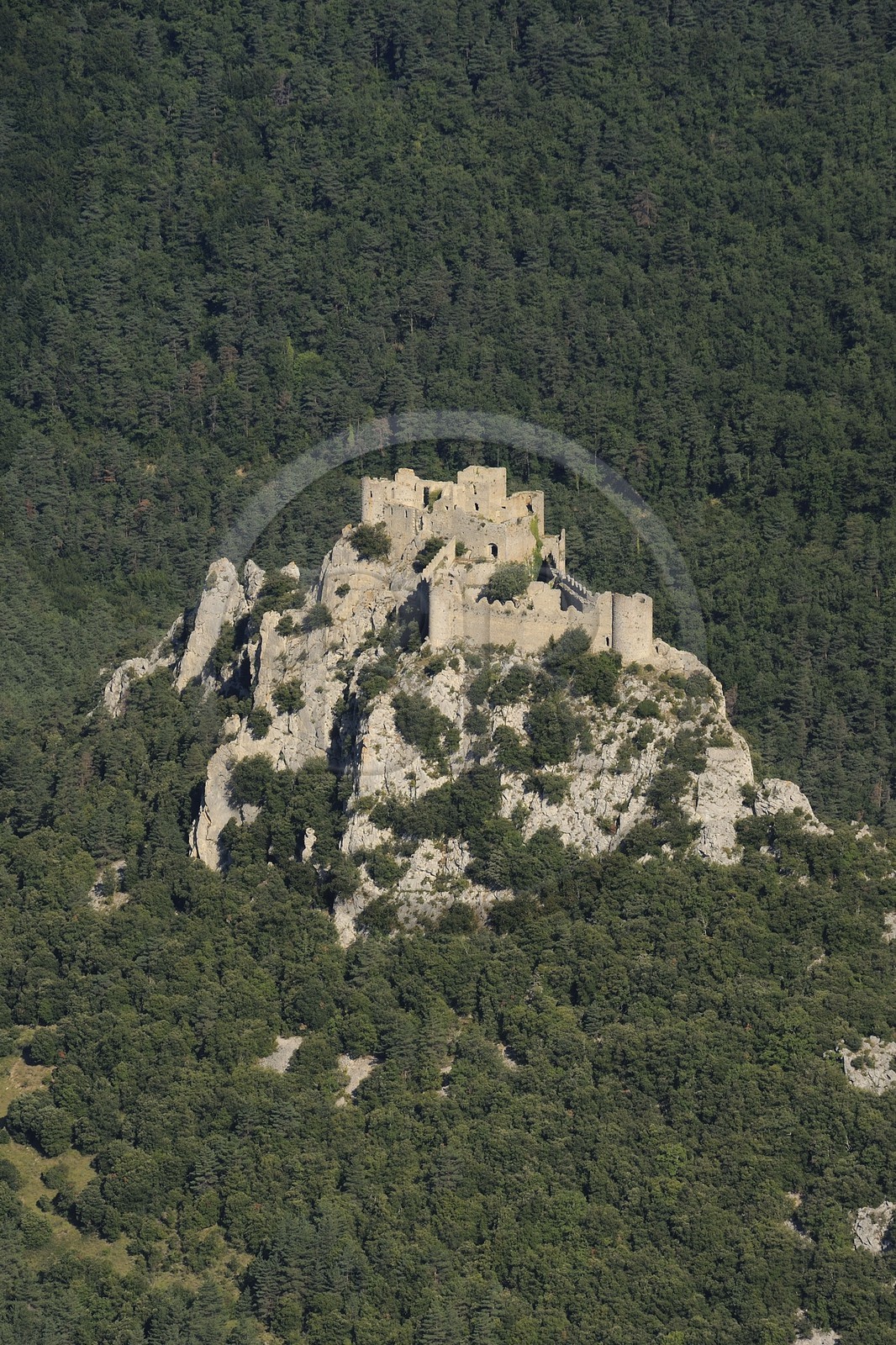 France, Aude, Cathar castle of Puilaurens (aerial view)