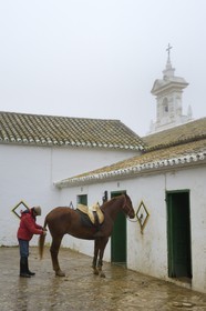 Espagne, Andalousie, province de Séville, Utrera, Finca El Pinganillo, le haras de la propriété