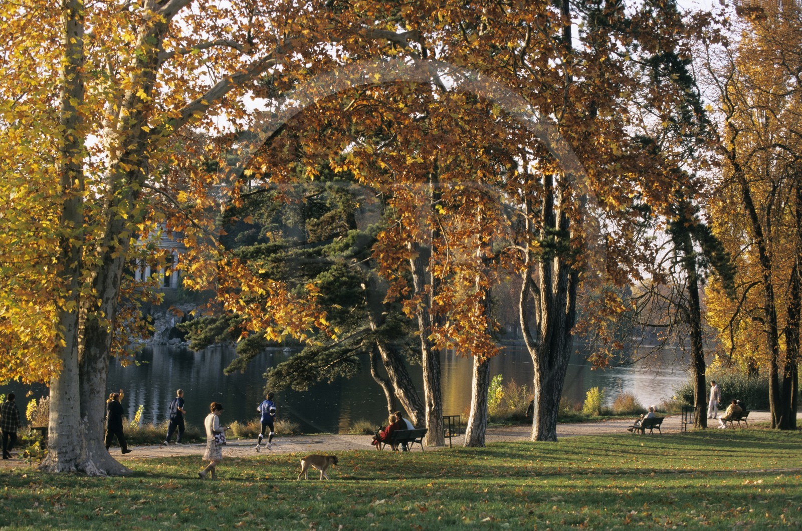 France, Paris (75), Bois de Vincennes, le lac Daumesnil
