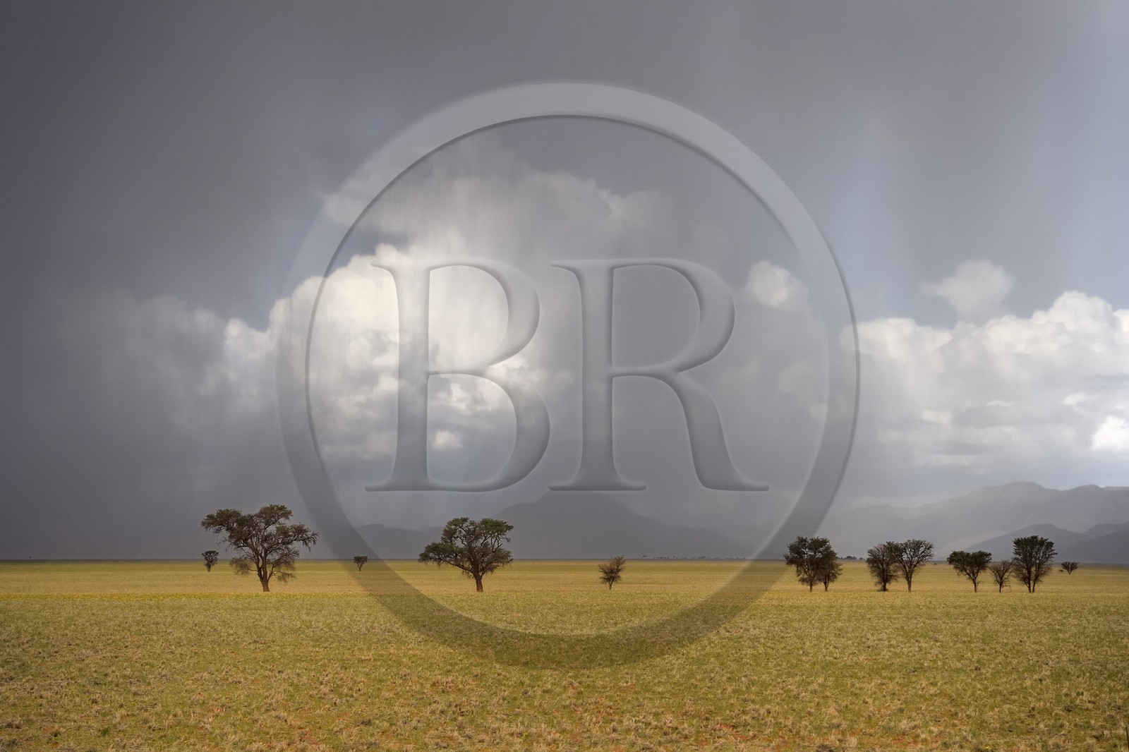 Namibie, région de Khomas, désert du Namib à l'Est du parc national Namib Naukluft sous une pluie d'orage