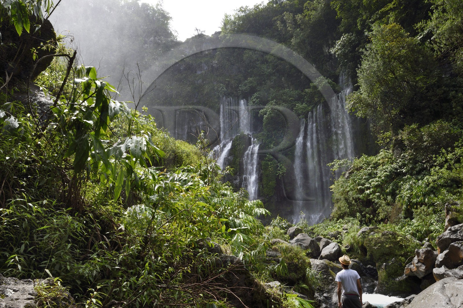France, Ile de la Reunion, Saint Joseph, rivière Langevin sur les flanc du Volcan Piton de la Fournaise, cascade de Grand Galet ou cascade Langevin