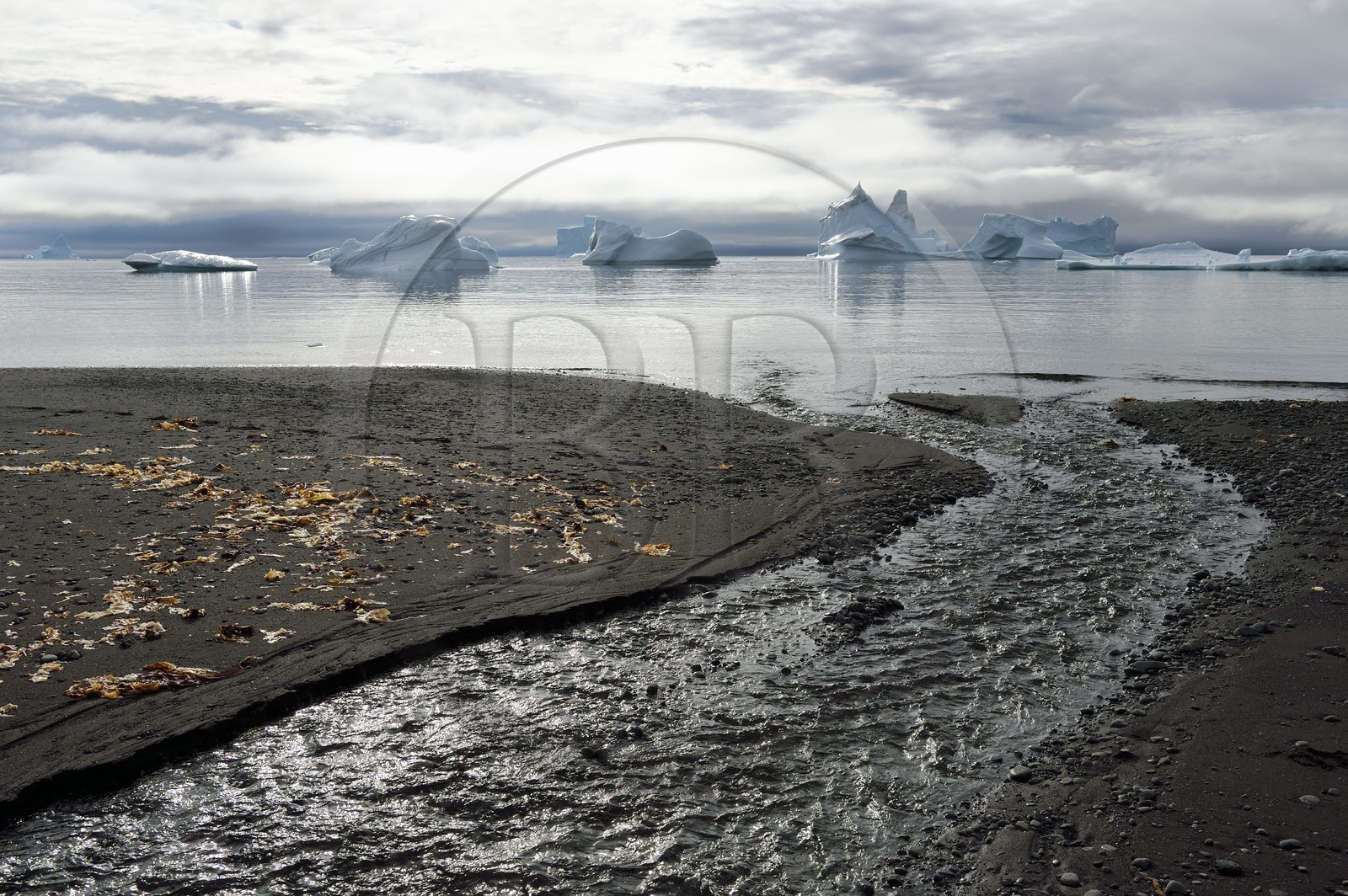 Groenland, cote ouest, Ile de Disko, baie du village de Qeqertarsuaq, icebergs dans la brume