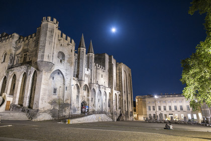 France, Vaucluse, Avignon, Palais des Papes (Palace of the Popes) listed as World heritage by UNESCO, the west facade on the Palace Square