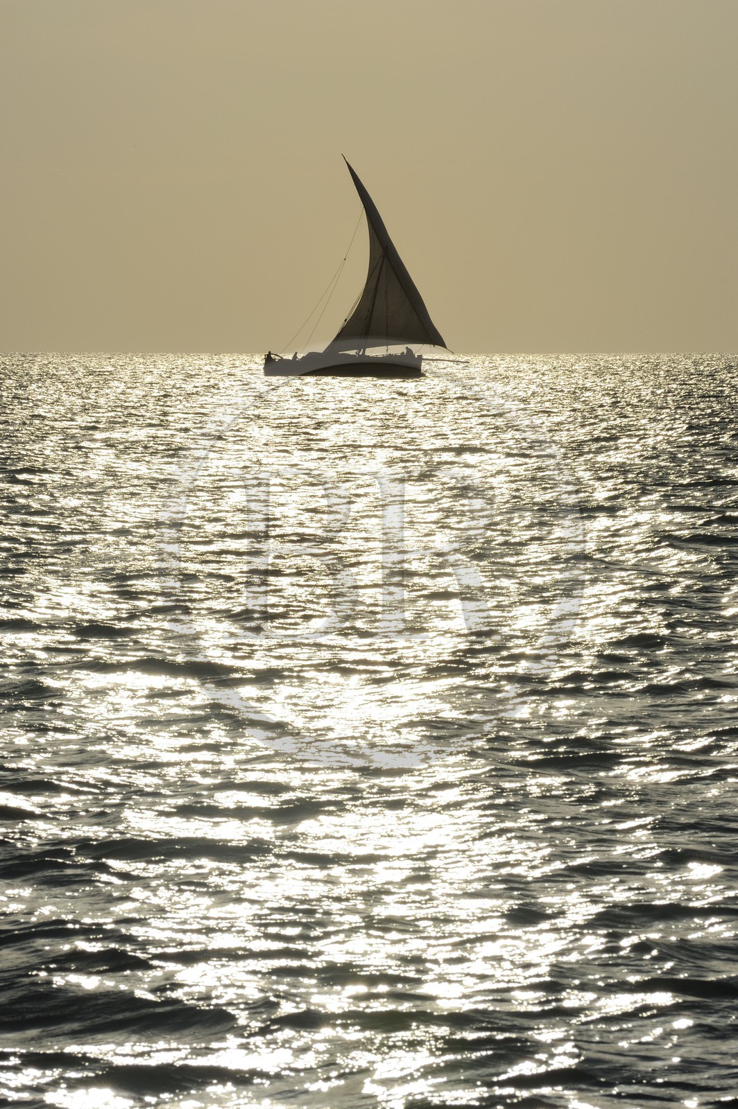 Tanzanie, archipel de Zanzibar, île de Unguja (Zanzibar), côte ouest, un dhow (boutre traditionnel)