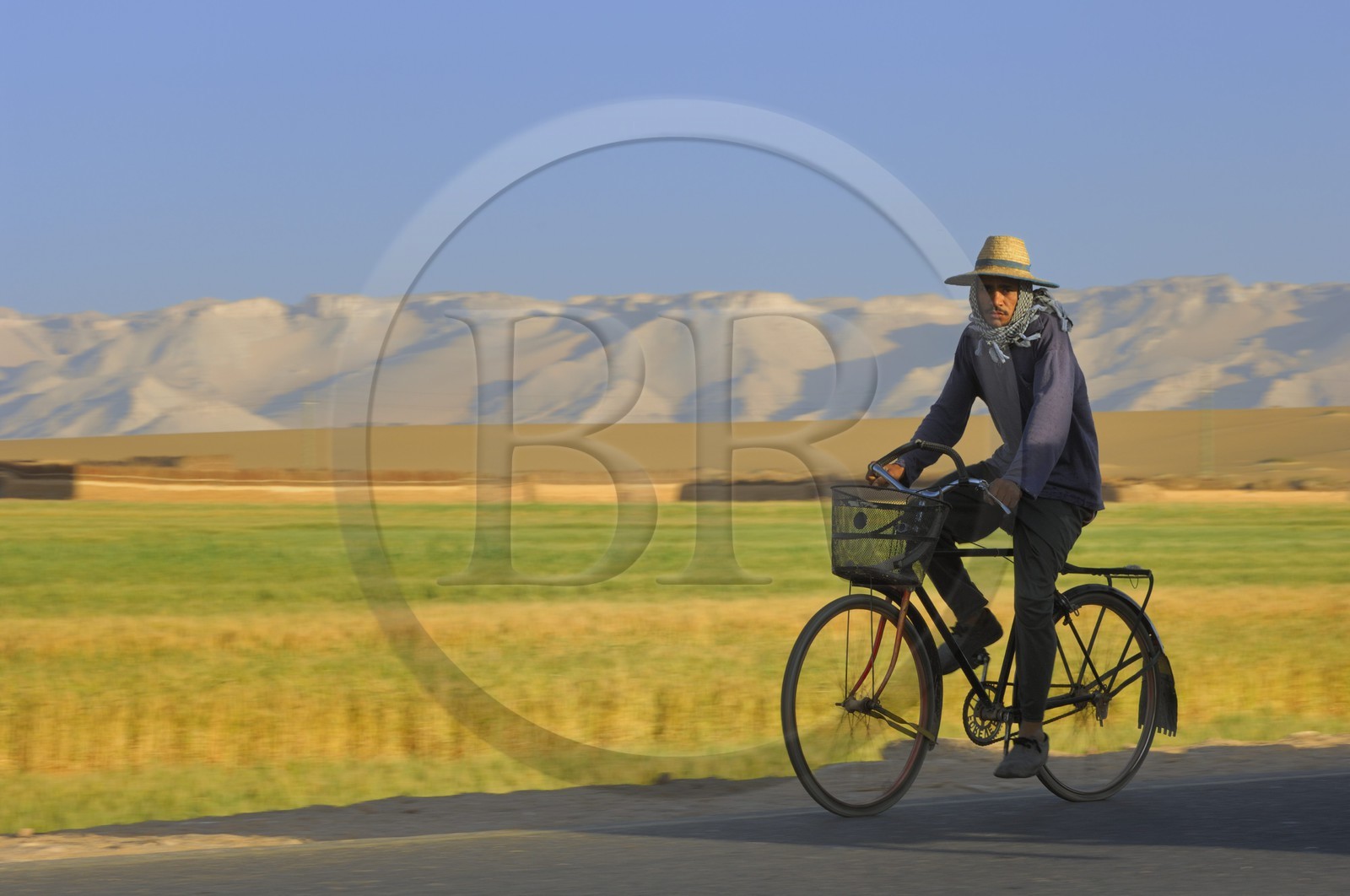 Egypt, Libyan Desert, Dakhla Oasis, town of Balat, field work