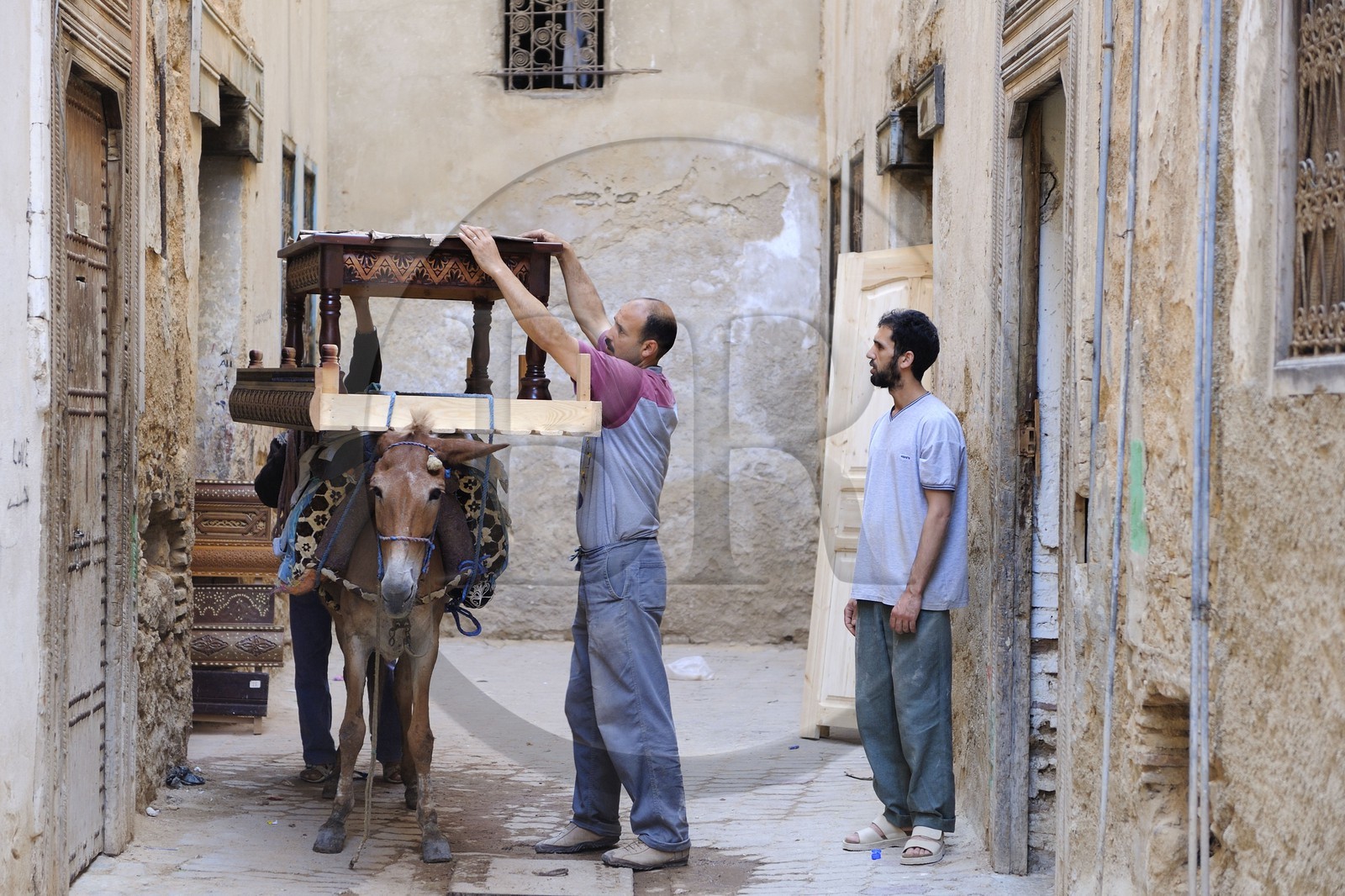 Morocco, Middle Atlas, Fez, Imperial City, medina listed as World Heritage by UNESCO, donkey is the unique means of transportation in Fez El Bali