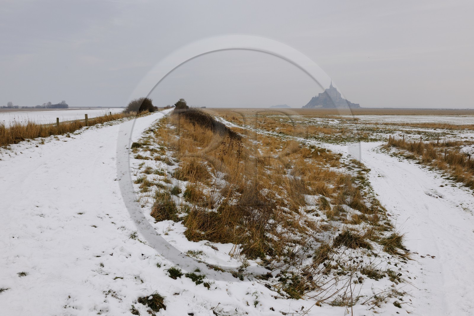France, Ille-et-Vilaine (35), le polder du Mont-Saint-Michel