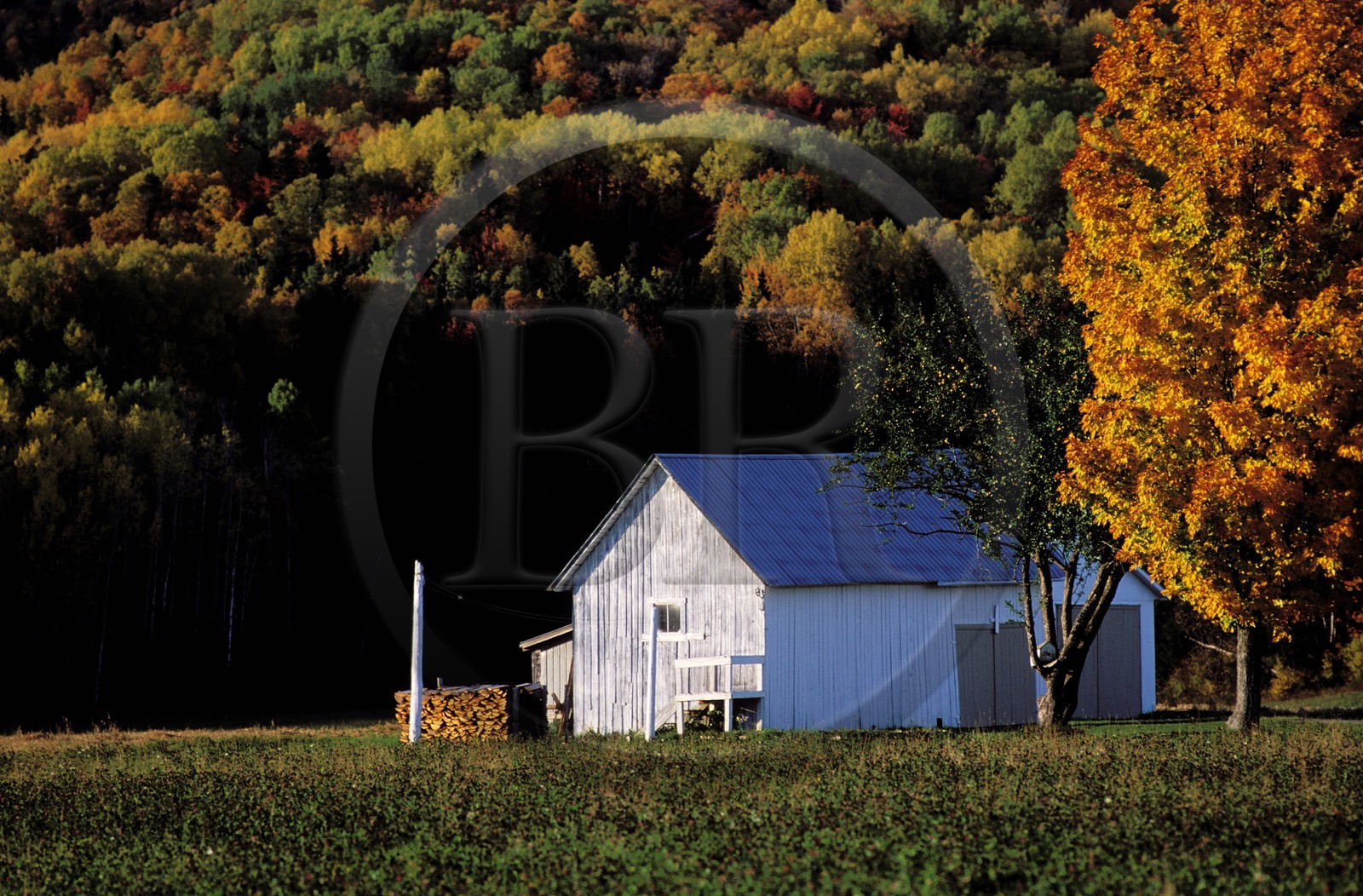 Canada, province de Québec, Gaspésie, Baie des Chaleurs, ferme dans région de Carletton