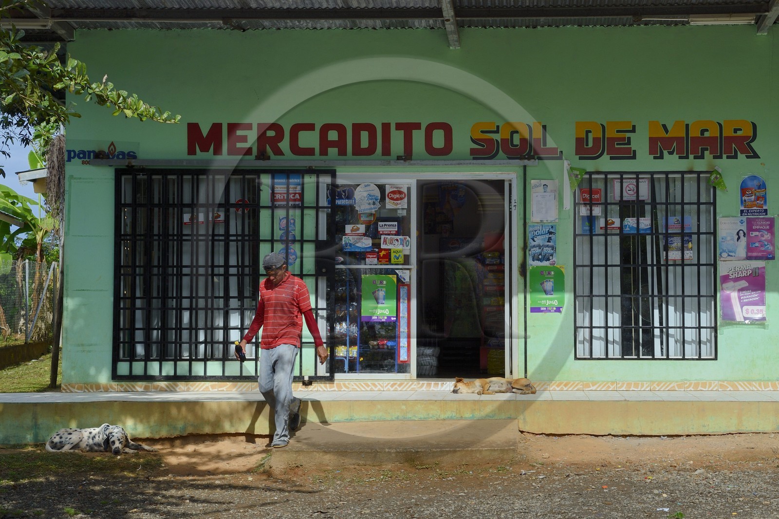 Panama, province de Chiriqui, épicerie (mercadito) à Boca Chica
