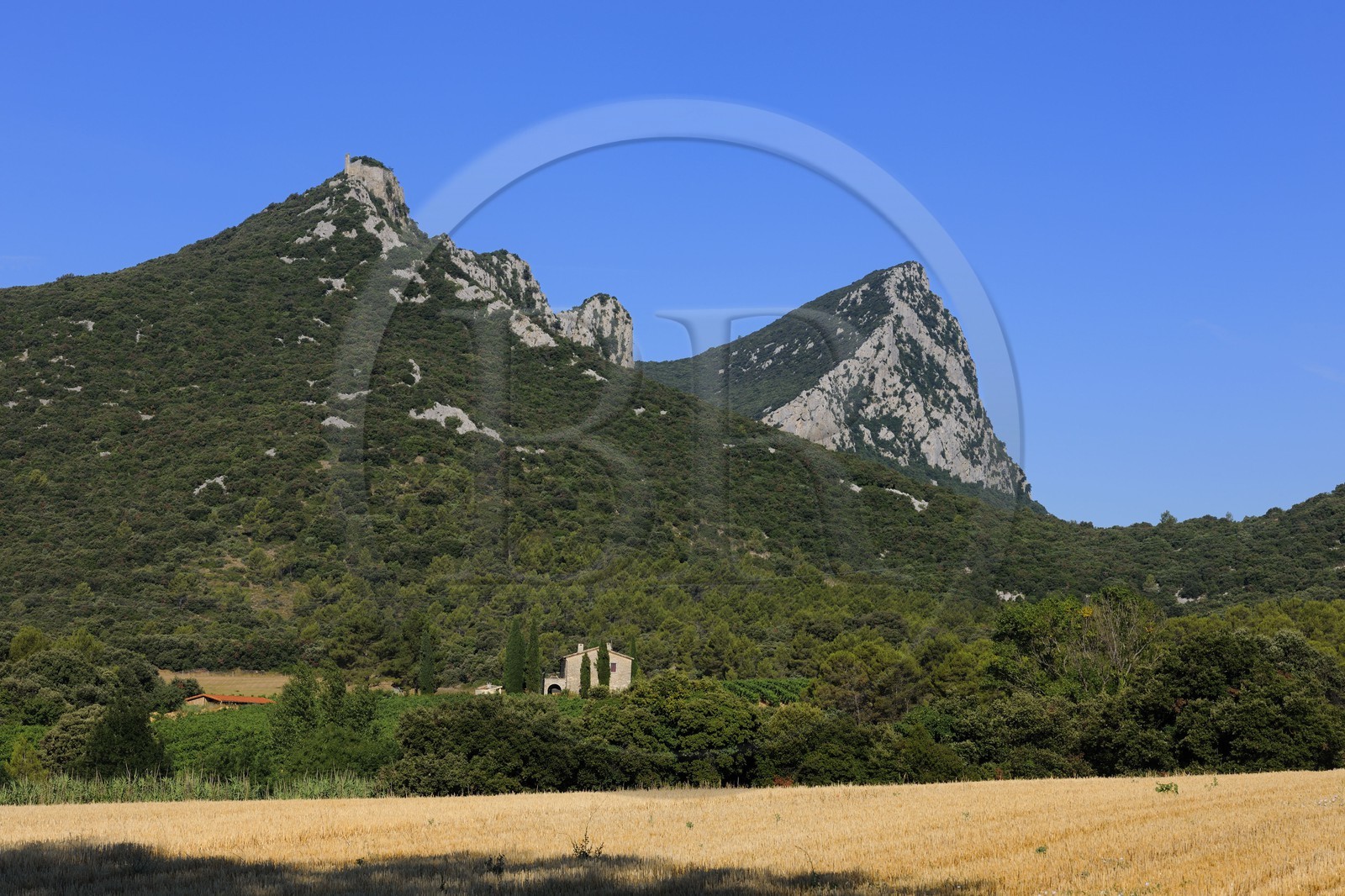 France, Hérault (34), le Pic Saint-Loup,