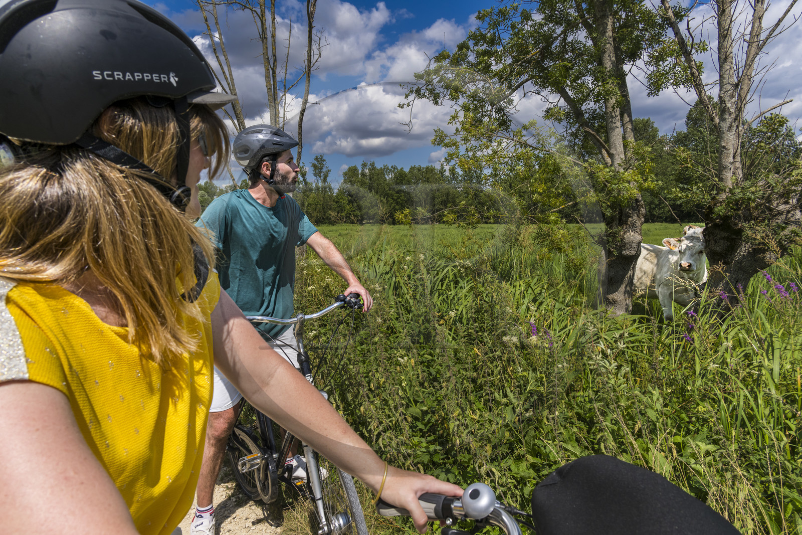 France, Deux-Sèvres (79), le Marais Poitevin, la Venise Verte, Le Vanneau-Irleau, randonnée à bicyclette le long des canaux