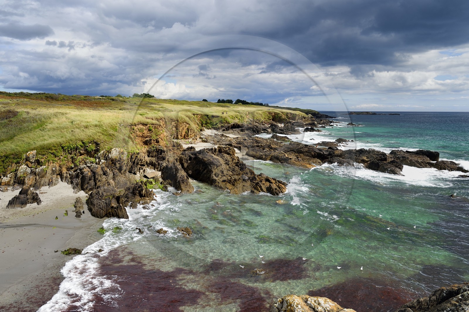 France, Finistere (29), Moelan sur Mer, the coast between Kerfany les Pins and the beach of Trenez along the GR 34 hiking trail or sentier des douaniers (customs trail)