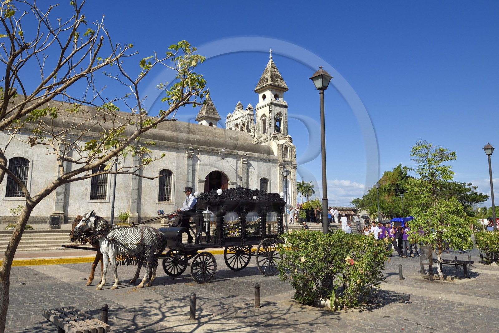 Nicaragua, Granada, corbillard traditionnel tiré par deux chevaux pour un enterrement devant l'église de Guadalupe